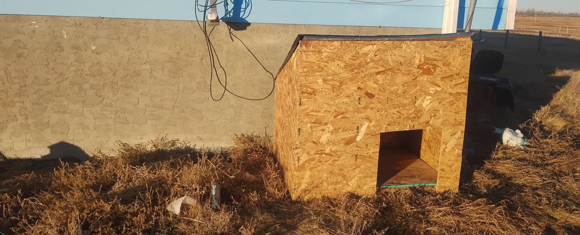 Dog Houses Delivered